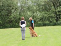 Bendix und das Boxband (82)